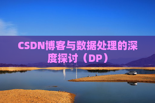 CSDN博客与数据处理的深度探讨（DP）